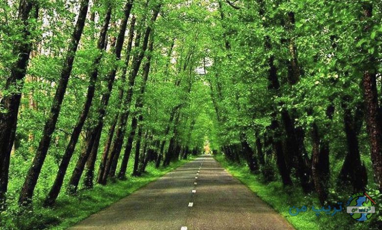 از اصفهان تا جنگل گیسوم چند ساعت راه است؟